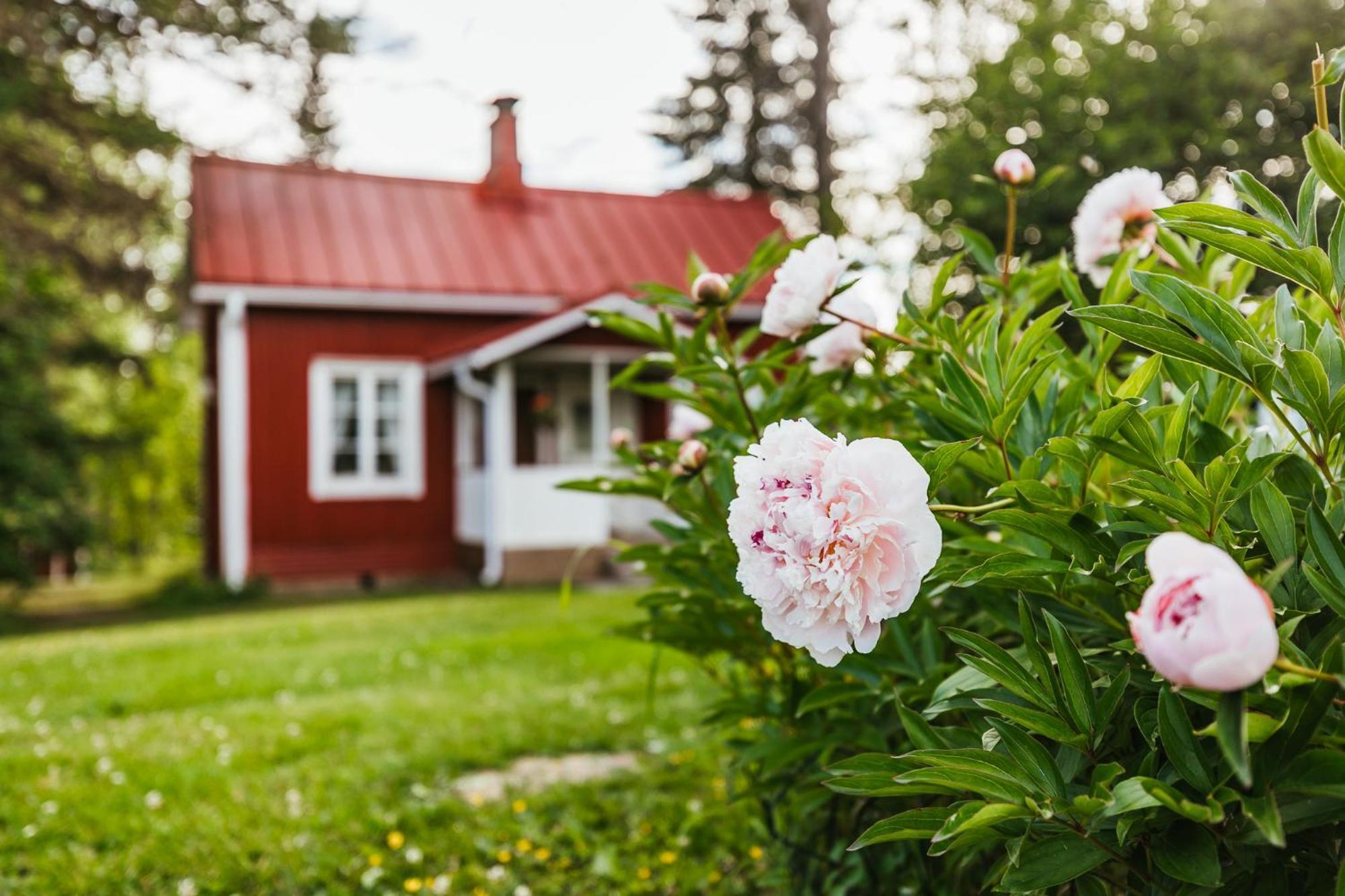 Villa Valkeisen Loma Ähtäri Exterior foto